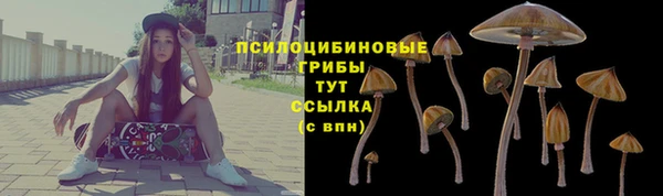 спиды Осташков
