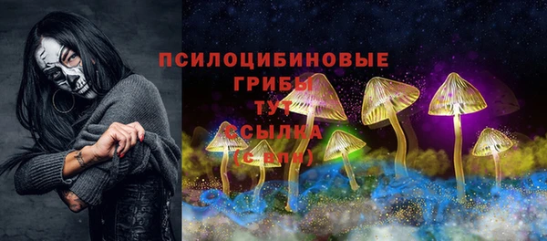 спиды Осташков