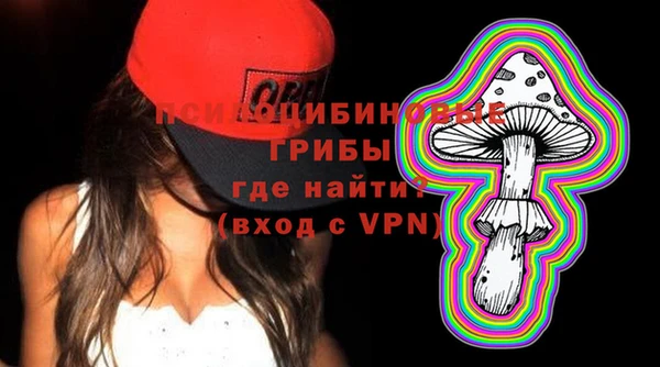 spice Бежецк