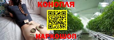 крисы Ставрополь