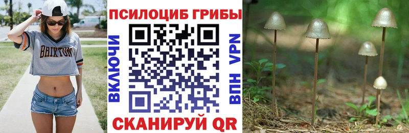 Псилоцибиновые грибы Magic Shrooms  Слободской 
