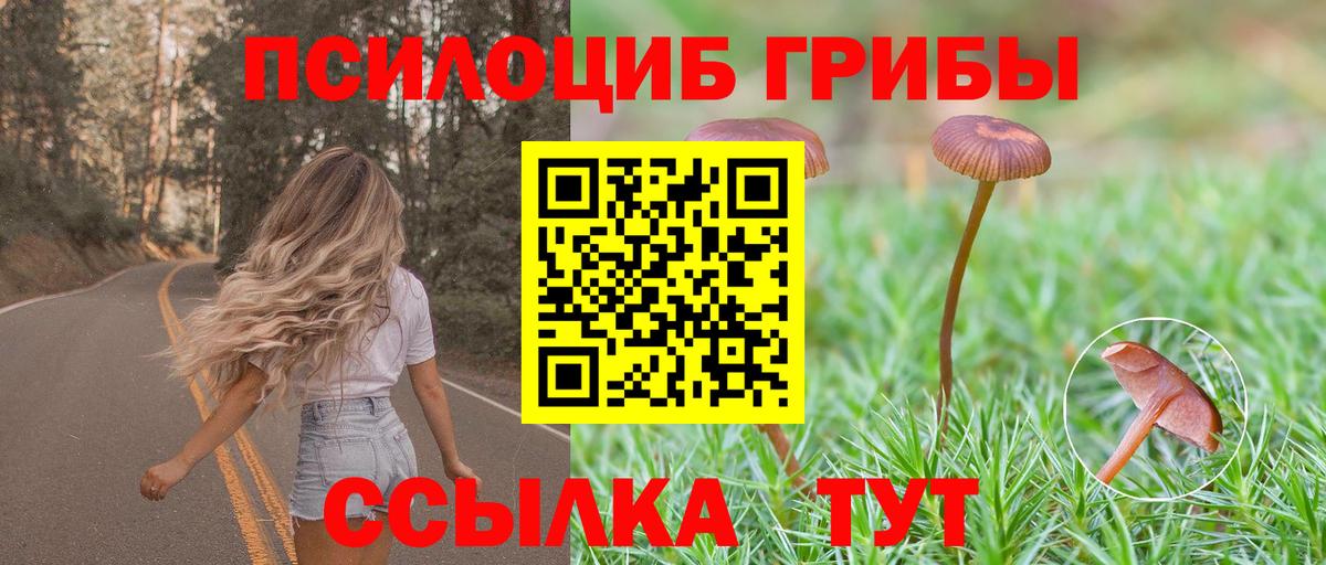 Псилоцибиновые грибы мухоморы Слободской