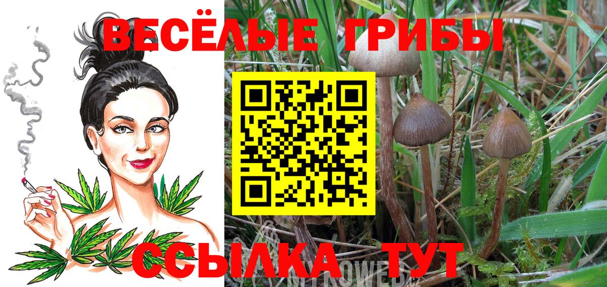Слободской  Галлюциногенные грибы Psilocybe  Вход с VPN  Галлюциногенные грибы ЛСД 